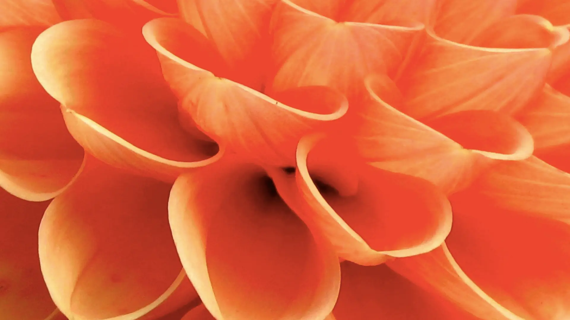 Sibylle Keller-Bühlmann | Praxis Craniosakral