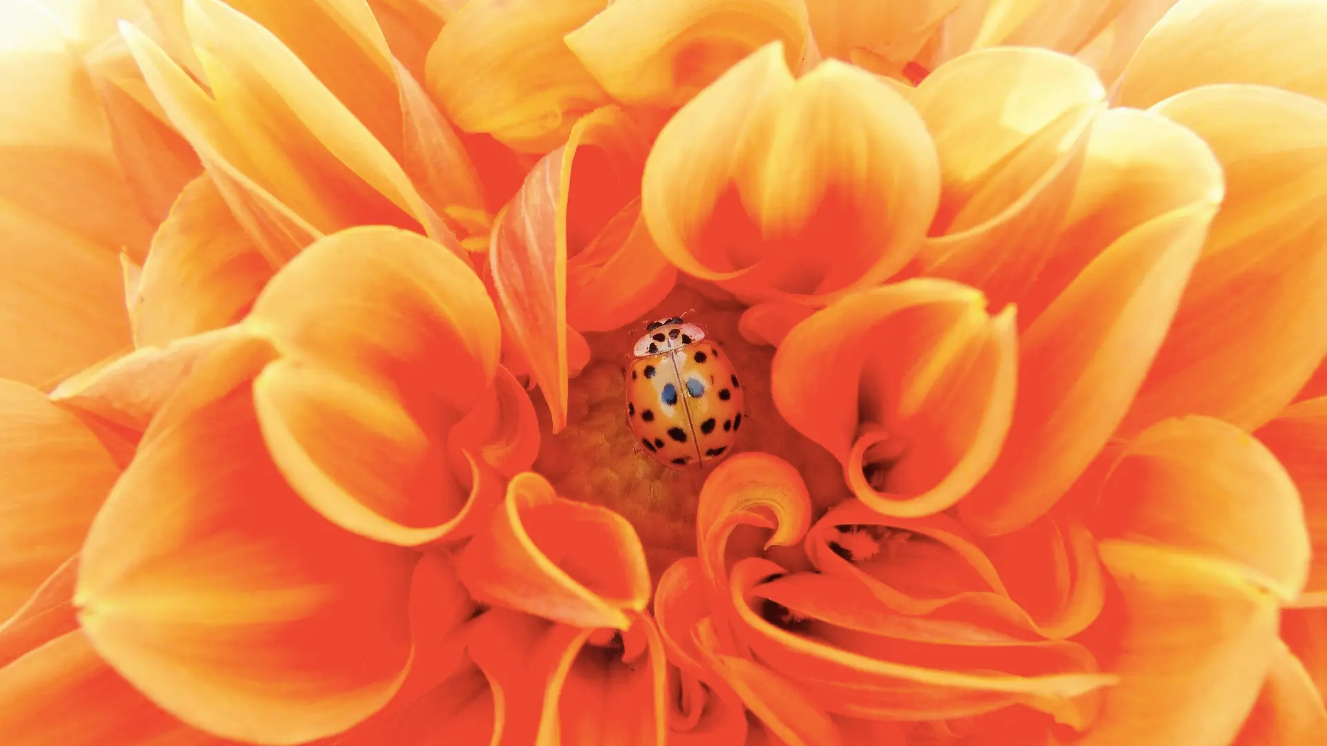 Sibylle Keller-Bühlmann | Praxis Craniosakral