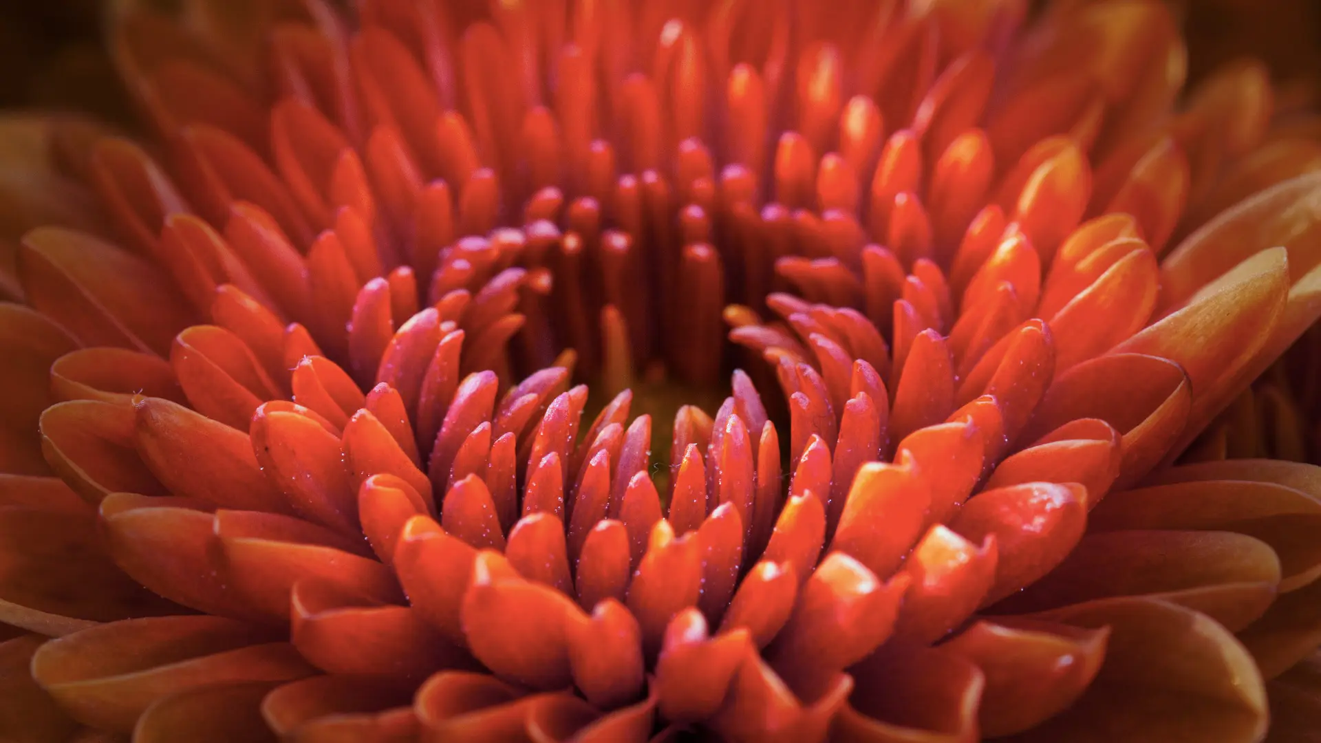 Sibylle Keller-Bühlmann | Praxis Craniosakral