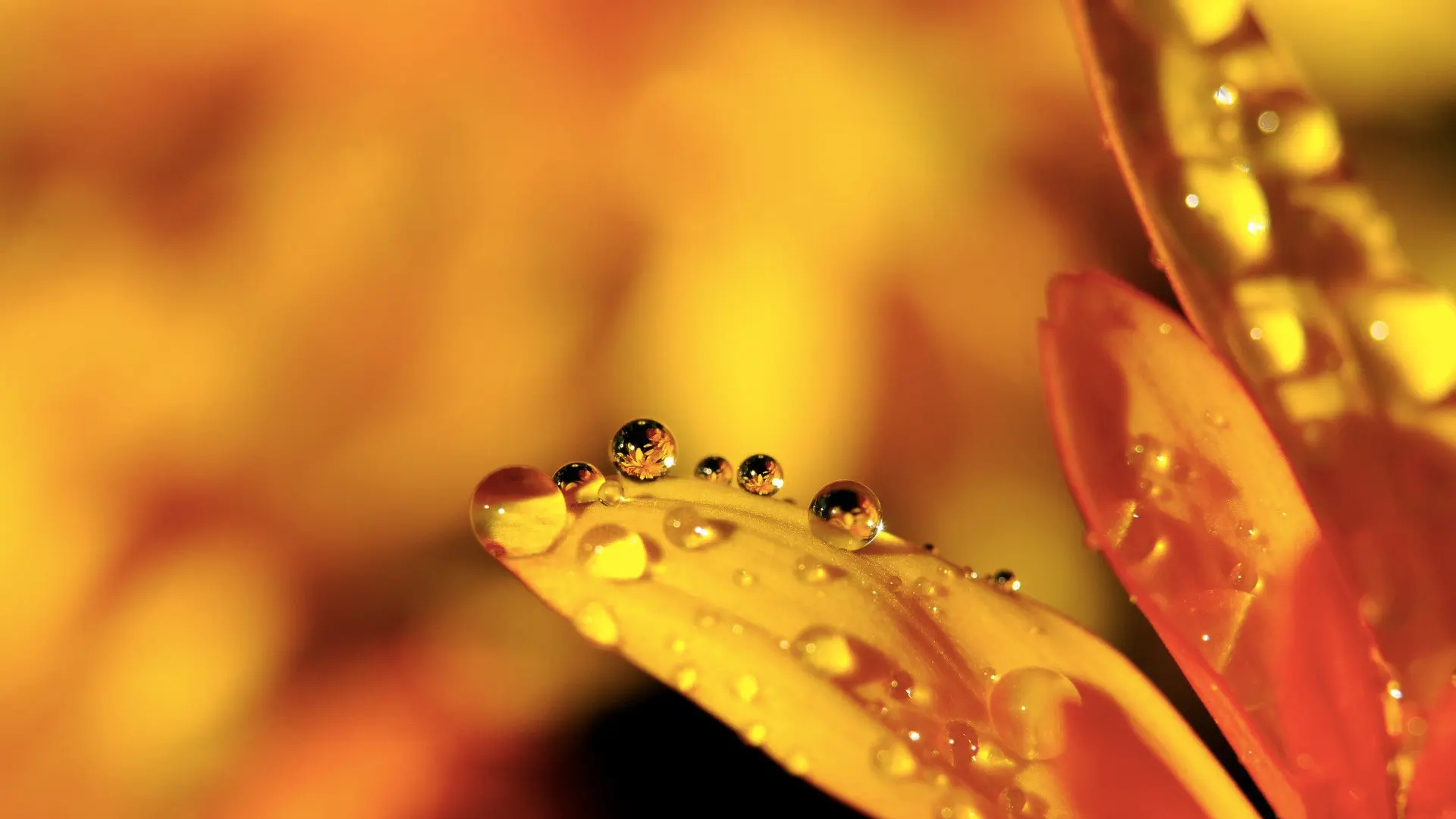 Sibylle Keller-Bühlmann | Praxis Craniosakral